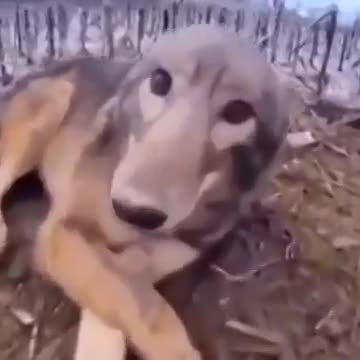 Ам