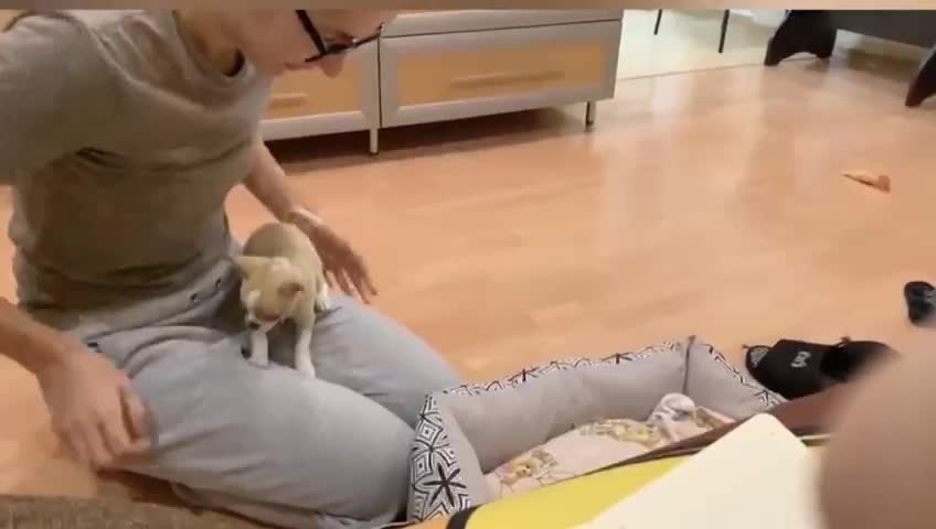 Без названия