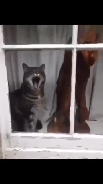пик пик