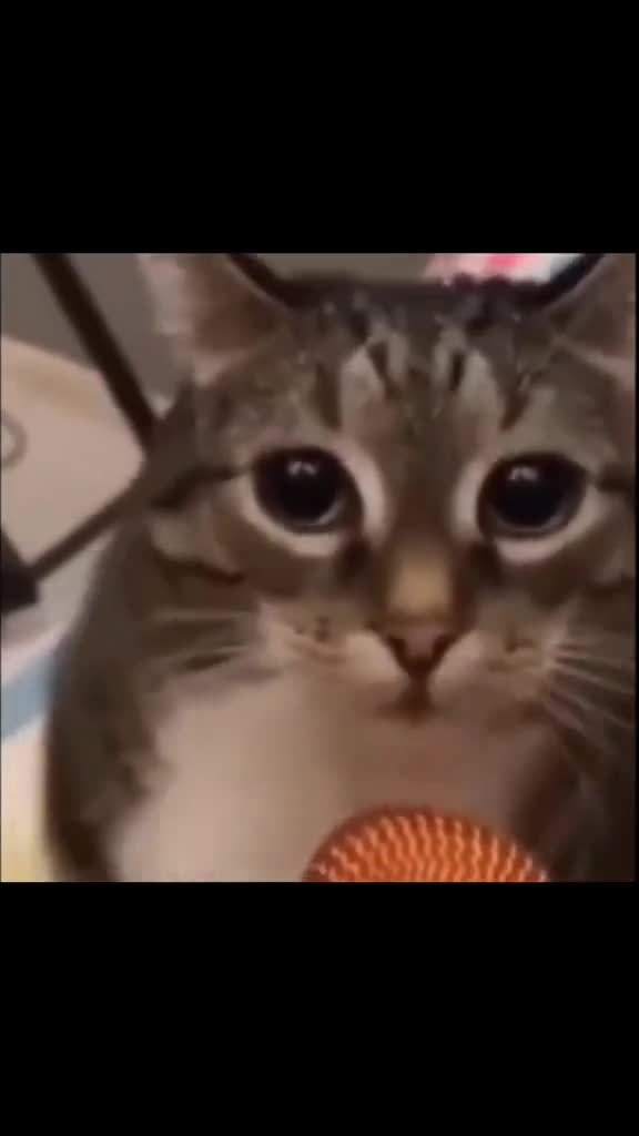 Наша раша