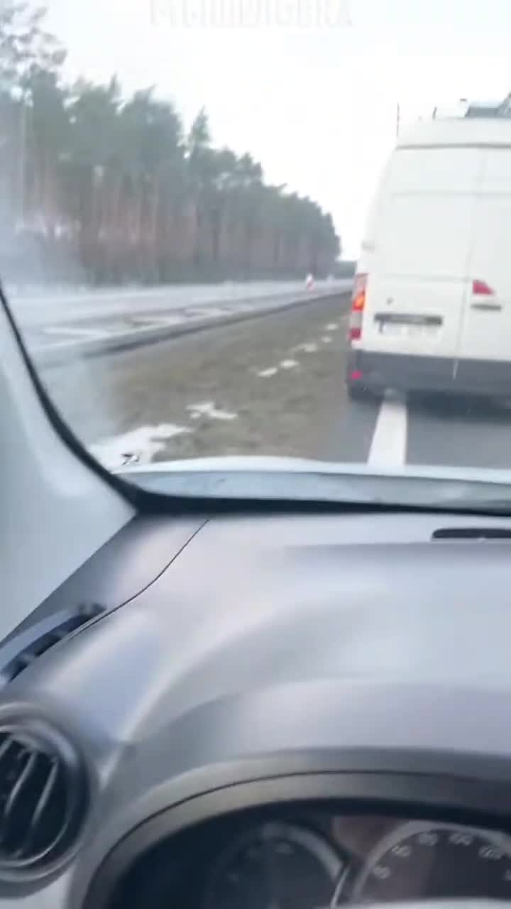 Хомик))0)