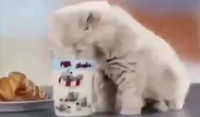 я русский