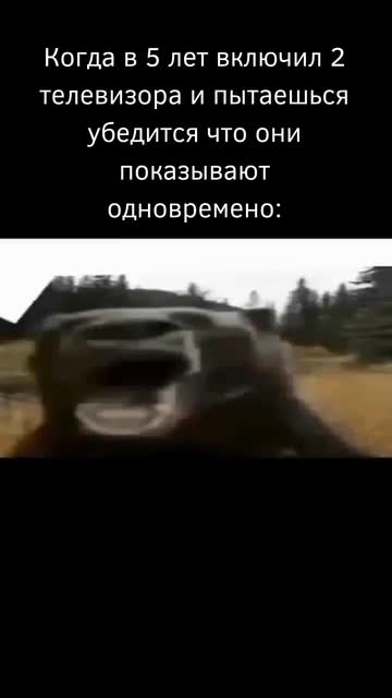 когда в 5 лет