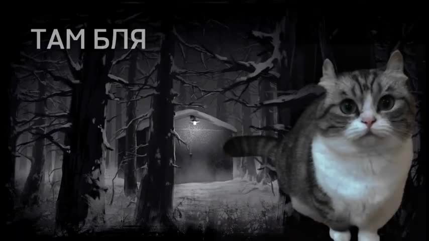 ТАМ БЛЯ О БЛЯ ТО БЛЯТЬ О БЛЯ ТО БЛЯ ЭТА БЛЯ ООООАААЭЭЭЭ