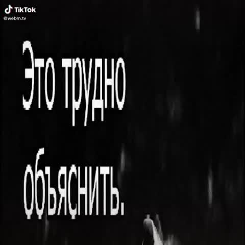 Волк жестко фактит