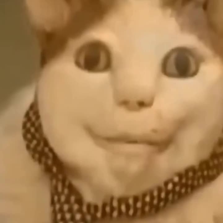 Бу, испугался? не бойся, я друг, я тебя не обижу
