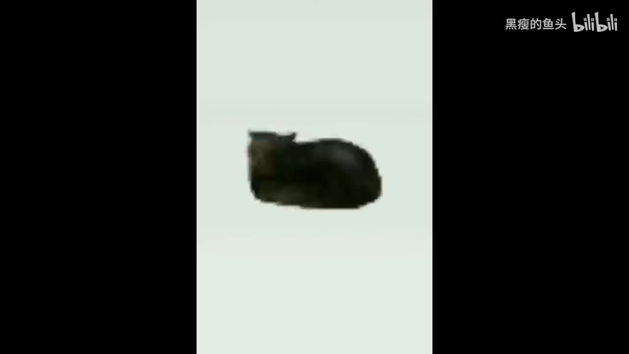 OIIAOIIA Extended HIGH QUALITY