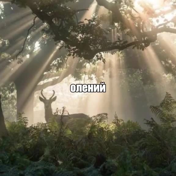 олений пенис мой талисман